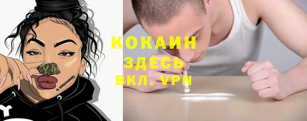 дмт Няндома