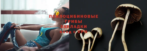 крисы Нязепетровск