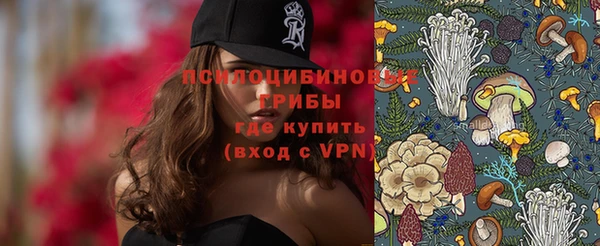 дмт Няндома