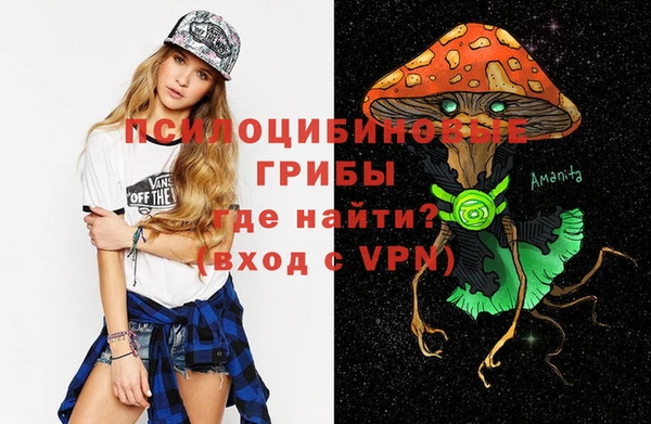 крисы Нязепетровск